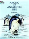 Coloring Books, Ruth Soffer - Arctic and Antarctic Life Coloring Book