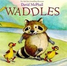 David McPhail - Waddles