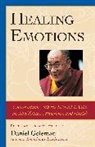 Daniel Goleman, The Dalai Lama, Daniel P. Goleman - Healing Emotions
