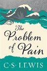 C S Lewis, C. S. Lewis - The Problem of Pain