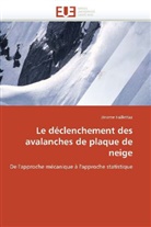 Jérome Faillettaz, Faillettaz-J - Le declenchement des avalanches