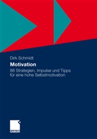 Dirk Schmidt - Motivation