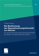Tobias Recke - Die Bestimmung der Repositionierungsintensität von Marken
