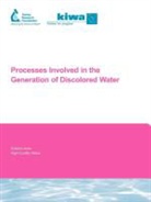 L Rosenthal, L. Rosenthal, W Siegers, W. Siegers, P Slaats, P. Slaats... - Processes Involved in the Generation of Discolored Water