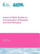 J Leparc, J. Leparc, C Mysore, C. Mysore, M. Prevost, M Prévost... - IMPACT OF WATER QUALITY ON INACTI