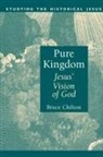 Bruce Chilton - Pure Kingdom