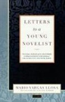 Mario Vargas Llosa, Mario Vargas Llosa, Natasha Wimmer - Letters to a Young Novelist