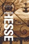 Hermann Hesse - Rosshalde