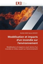 Rachida Hamzi, Hamzi epouse moursy-, Rachida HAMZI épouse MOURSY, Hamzi Epouse Moursy-R - Modelisation et impacts d un