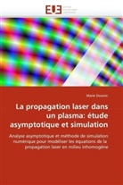 Marie Doumic, Doumic-M - La propagation laser dans un