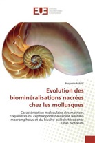 Benjamin Marie, Marie-b - Evolution des biomineralisations