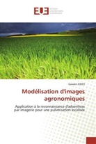 Gawain Jones, Jones-G - Modelisation d images agronomiques
