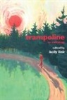 Kelly Link - Trampoline