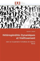 Djamel El Masri, El Masri-D, Djamel el Masri - Heterogeneites dynamiques et
