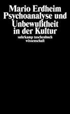 Mario Erdheim - Psychoanalyse und Unbewußtheit in der Kultur