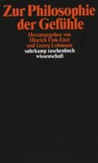 Fink-Eitel, Fink-Eitel, Hinrich Fink-Eitel, Geor Lohmann, Georg Lohmann - Zur Philosophie der Gefühle