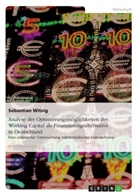Sebastian Witzig - Analyse der Optimierungsmöglichkeiten des Working Capital als Finanzierungsalternative in Deutschland
