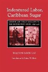 Walton Look Lai, Look, Walton Look Lai - Indentured Labor, Caribbean Sugar