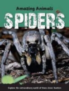 Sally Morgan - Spiders