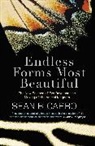 Sean Carroll, Sean B. Carroll, Carroll Sean B. - Endless Forms Most Beautiful