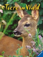 Tiere im Wald