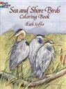 Coloring Books, Sea Life, Soffer, Ruth Soffer, Soffer Soffer - Sea Shore Birds