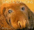 David Miller - Seals and Sea Lions