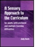Judy Davis, Davis Judy - Sensory Approach to the Curriculum