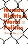 David P Forsythe, David P. Forsythe - Human Rights and World Politics