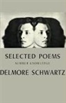 Delmore Schwartz - Summer Knowledge: