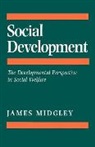 James Midgley, James O Midgley, James O. Midgley, Midgley James O. - Social Development