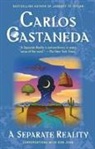 Carlos Castaneda, Carlos Castenada, Jane Rosenman - Separate Reality