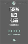 Elisa Carbone, Carbone Elisa - Teaching Large Classes