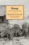 Archer B. Gilfilan, A. Gilfillan, Archer B. Gilfillan - Sheep