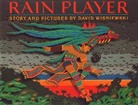 David Wisniewski, David Wisniewski - Rain Player