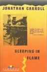 Jonathan Carroll - Sleeping in Flame