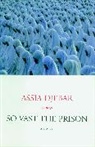 Assia Djebar, Betsy Wing - So Vast the Prison