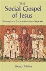 Bruce J Malina, Bruce J. Malina - The Social Gospel of Jesus