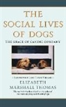 MARSHALL THOMAS ELIZABETH, Elizabeth Thomas, Elizabeth Marshall Thomas, Jared Taylor Williams - The Social Lives of Dogs