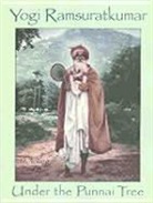 First Last, M. Young, M. Jane Young - Yogi Ramsuratkumar