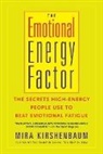Mira Kirshebaum, Mira Kirshenbaum, Kirshenbaum Mira - The Emotional Energy Factor