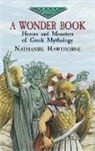Nathaniel Hawthorne - A Wonder Book
