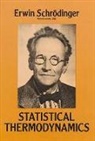 Physics, Erwin Schrodinger - Statistical Thermodynamics