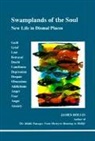 James Hollis - Swamplands of the soul