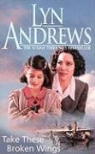Lyn Andrews, Lyn M. Andrews - Takes This Broken Wing