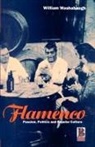 William Washabaugh, Barbara Bender, Bruce Kapferer - Flamenco