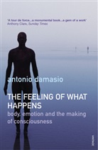 Antonio Damasio, Antonio (Van Allen Distinguishe Damasio, Antonio R. Damasio, Damasio Antonio - The Feeling of What Happens