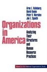 Arne L Kalleberg, Arne L. Kalleberg, Arne L. Knoke Kalleberg, David Knoke, Peter V Marsden, Peter V. Marsden... - Organizations in America