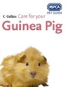 Rspca, Rspca - Care for Your Guinea Pig