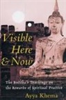 Peter Heinegg, Ayya Khema - Visible Here and Now : the Buddha's Teachings on the Rewards of